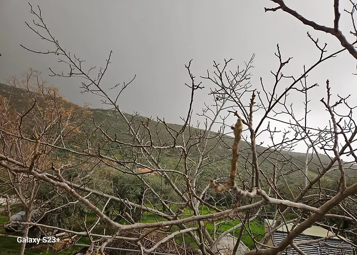 Magafinis * Prínosz